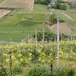 Villa Slow Barbara - Wine Estate With Private Pool, Air Conditioning And Panoramic Views On Castle And Vineyards