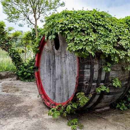 Barbara - Slow Wine Estate With Private Pool, Air Conditioning And Panoramic Views On Wineyards Villa Canale